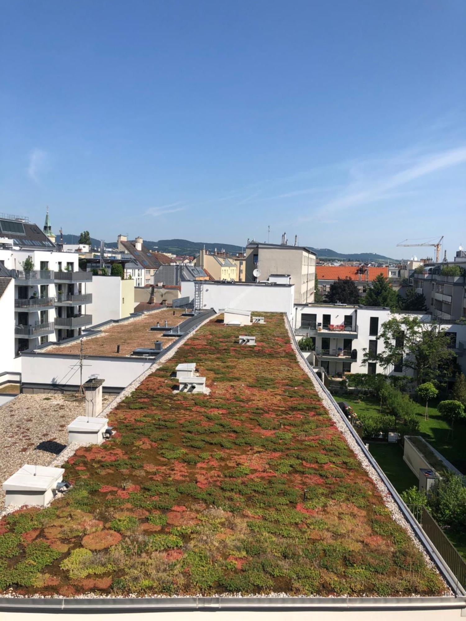 Vienna Sunny Side Up Apartments Dış mekan fotoğraf